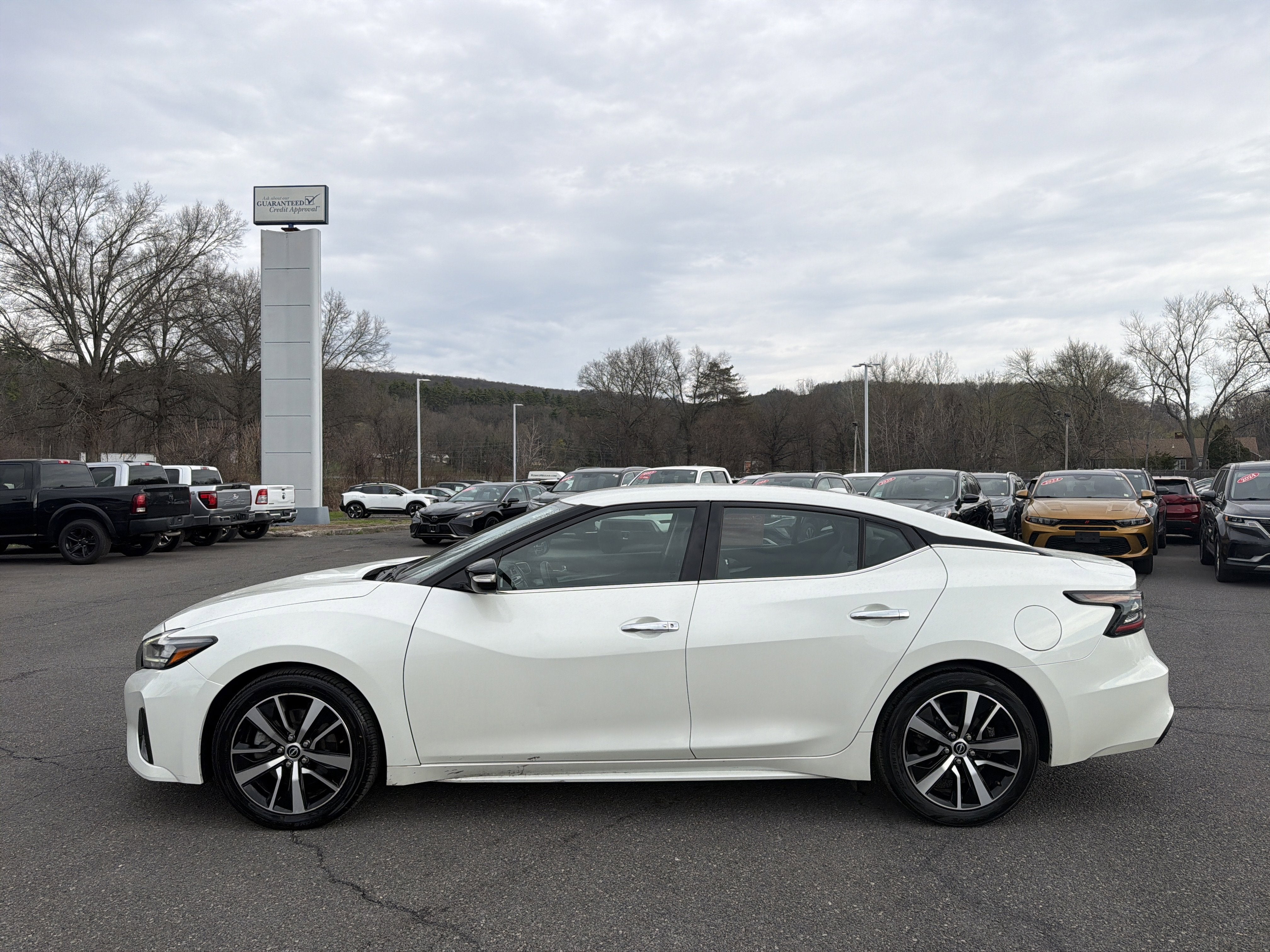 2023 Nissan Maxima SV