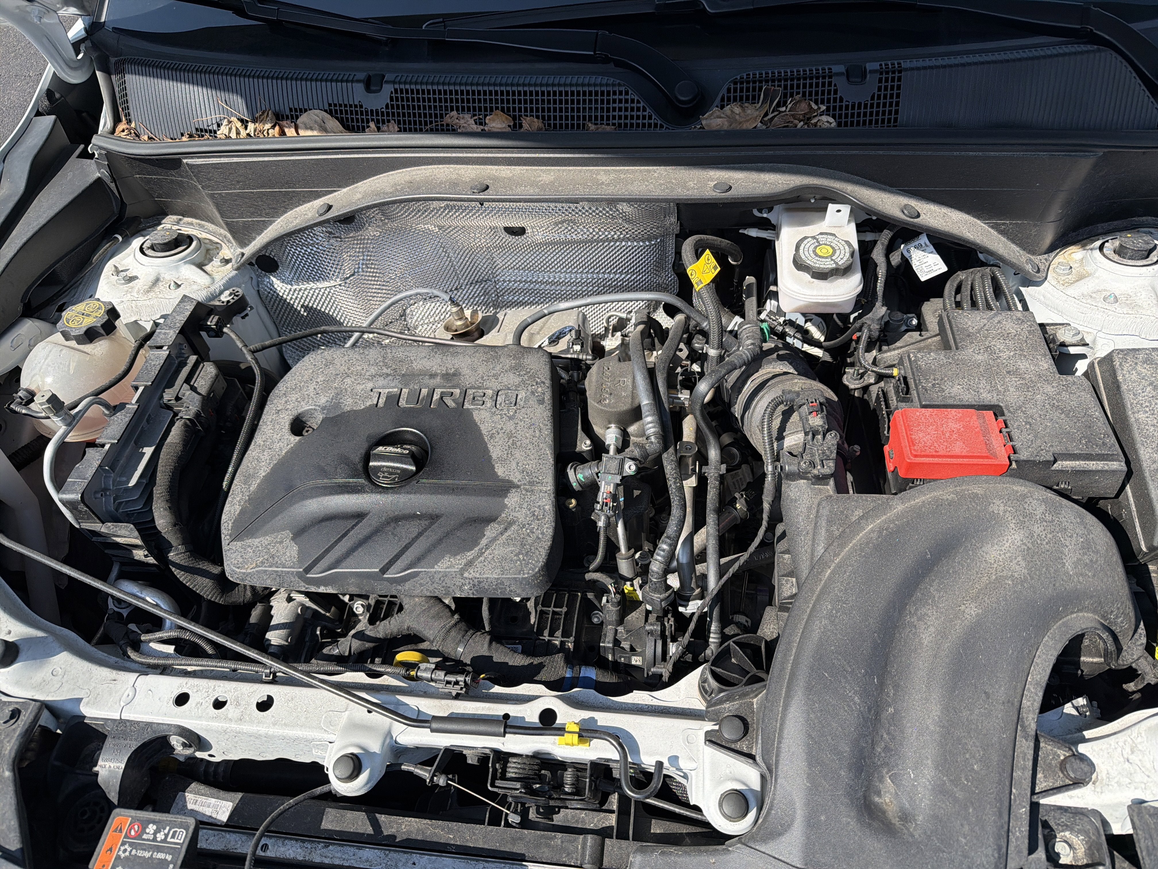 2024 Chevrolet TrailBlazer LT